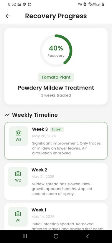 Recovery progress timeline