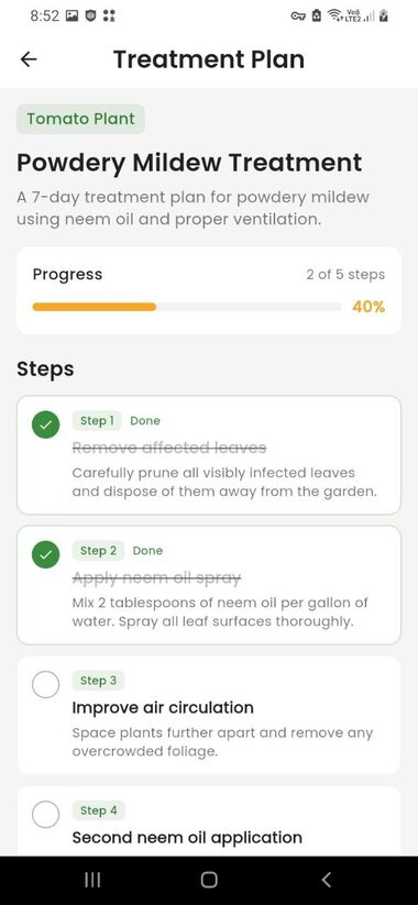Treatment plan steps